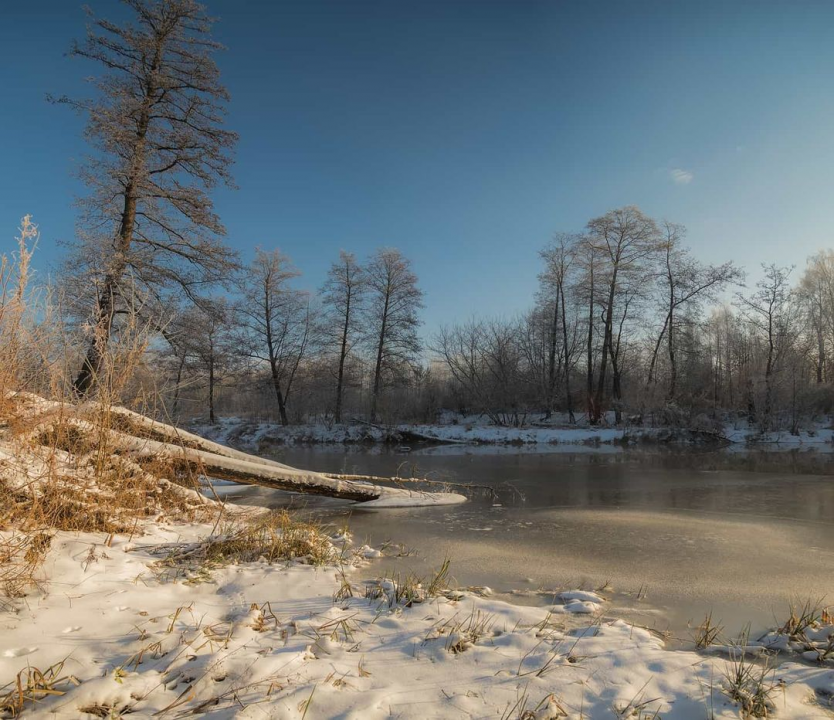 Без названия.png